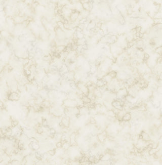 CR76106 Olive marble wallpaper from the Seaglass collection by Carl Robinson