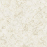 CR76106 Olive marble wallpaper from the Seaglass collection by Carl Robinson