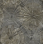 CR76003 opal tree wallpaper from the Sea Glass collection by Carl Robinson