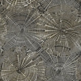 CR76003 opal tree wallpaper from the Sea Glass collection by Carl Robinson