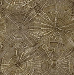CR76006 opal tree wallpaper from the Sea Glass collection by Carl Robinson