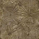 CR76006 opal tree wallpaper from the Sea Glass collection by Carl Robinson