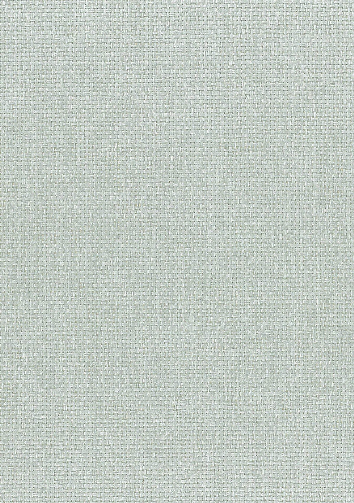 NA513 paperweave grasscloth wallpaper from Say Decor