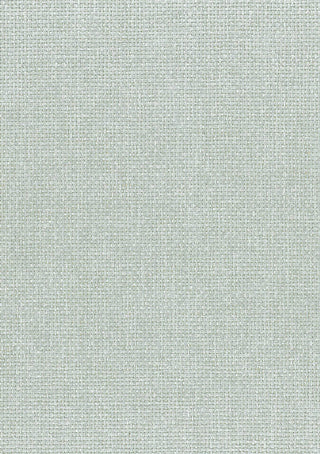 NA513 paperweave grasscloth wallpaper from Say Decor