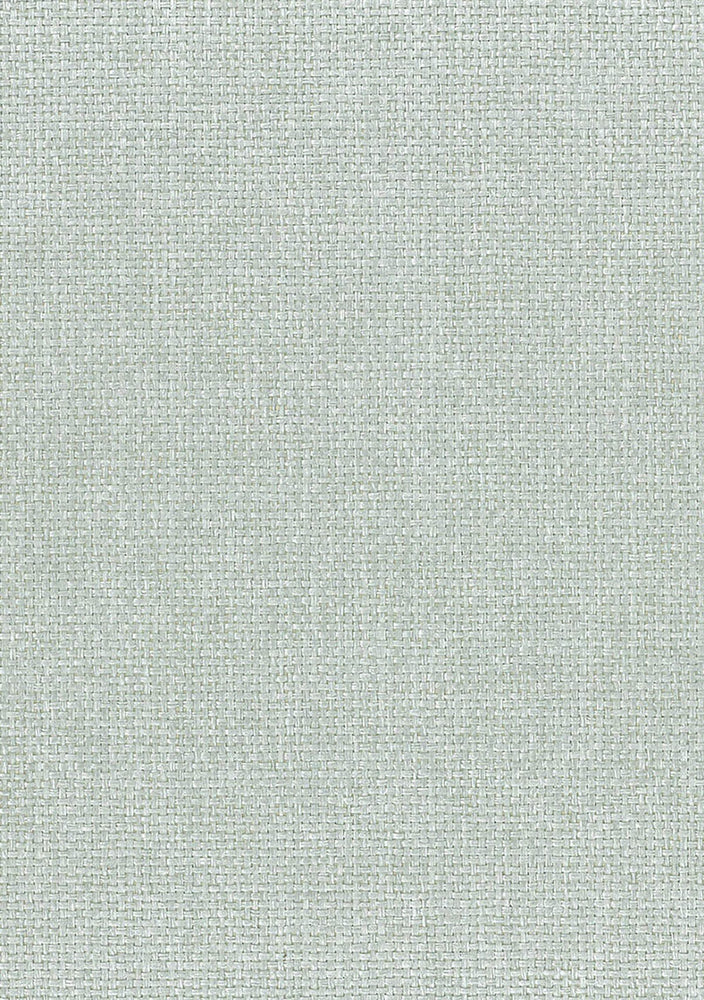 NA513 paperweave grasscloth wallpaper from Say Decor