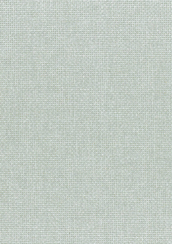 NA513 paperweave grasscloth wallpaper from Say Decor