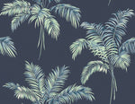 Island Jacob Palm Tree Wallpaper