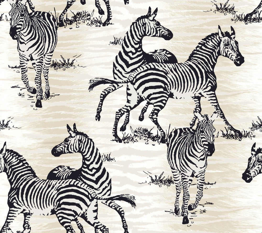 CR20500 jarvis zebra animal wallpaper from the Island collection by Carl Robinson