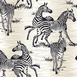 CR20500 jarvis zebra animal wallpaper from the Island collection by Carl Robinson