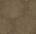 CR75706 Oliver coral wallpaper from the Seaglass collection by Carl Robinson