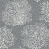 CR75712 Oliver coral wallpaper from the Seaglass collection by Carl Robinson