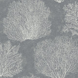 CR75712 Oliver coral wallpaper from the Seaglass collection by Carl Robinson