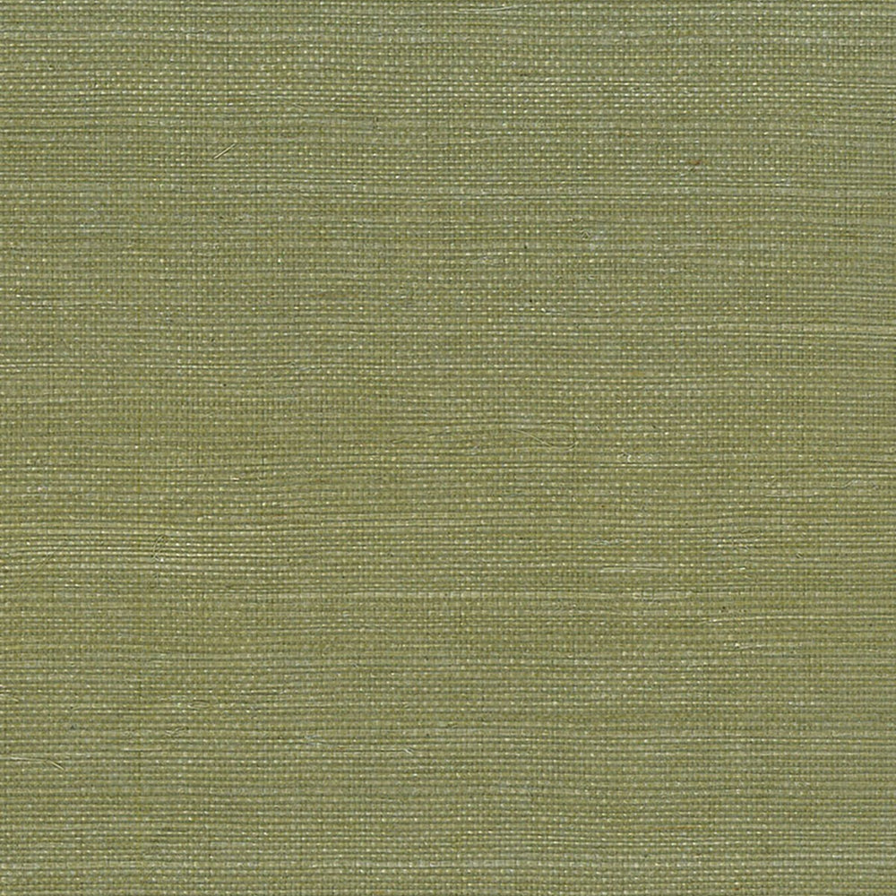 NA208 green sisal grasscloth wallpaper from Seabrook Designs