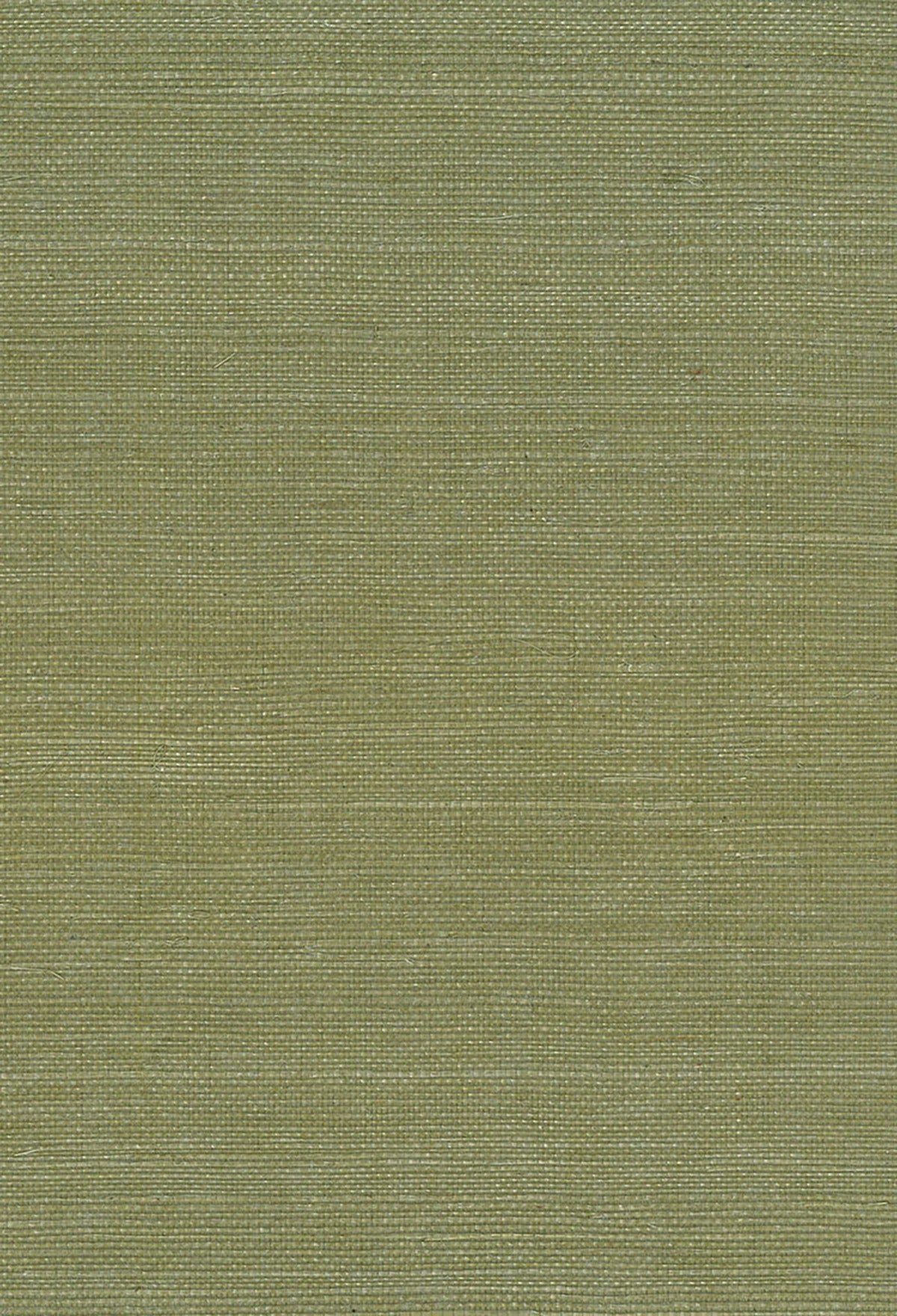 NA208 green sisal grasscloth wallpaper from Seabrook Designs