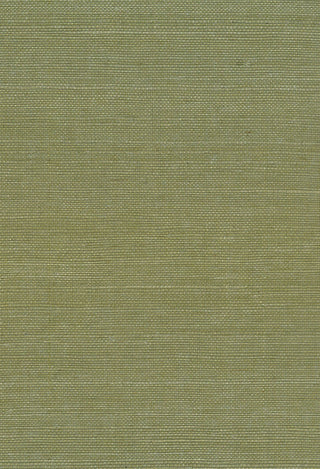 NA208 green sisal grasscloth wallpaper from Seabrook Designs