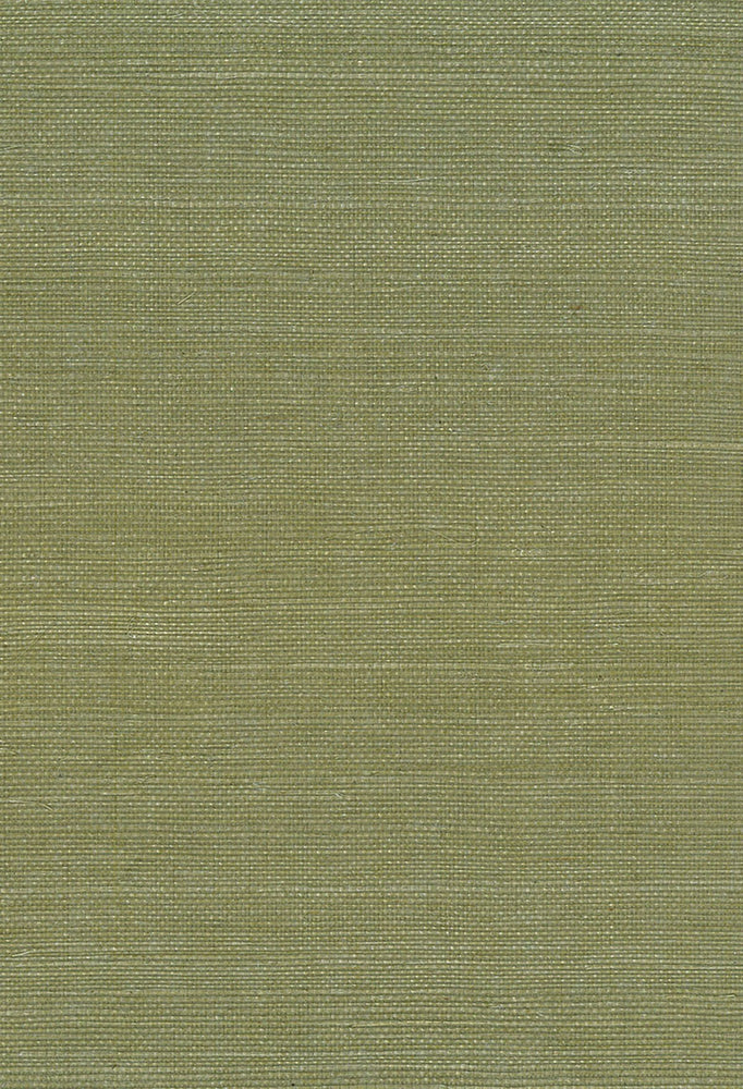 NA208 green sisal grasscloth wallpaper from Seabrook Designs