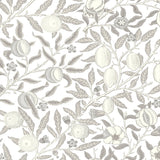 SD20600 Sutton Pomegranate botanical wallpaper from Say Decor