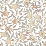 SD20603 Sutton Pomegranate botanical wallpaper from Say Decor
