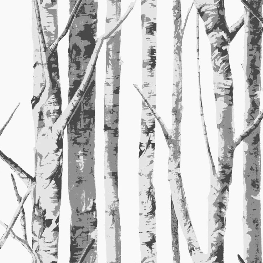 
                  
                    NZ10400M winter birch tree peel and stick wall mural from NextWall
                  
                