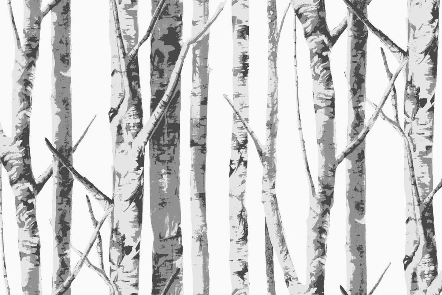 NZ10400M winter birch tree peel and stick wall mural from NextWall